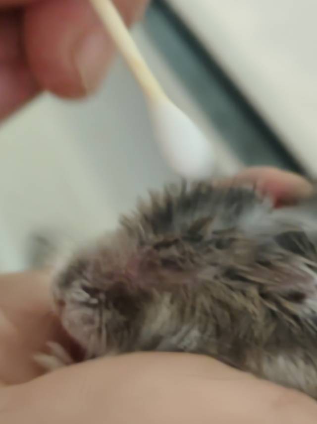 症状描述图片