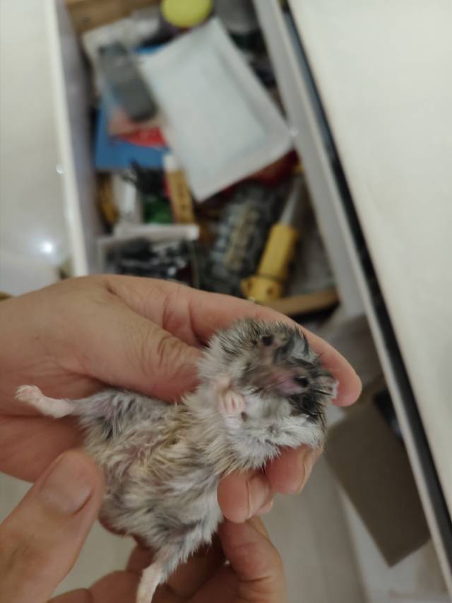 症状描述图片