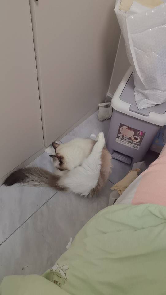 症状描述图片