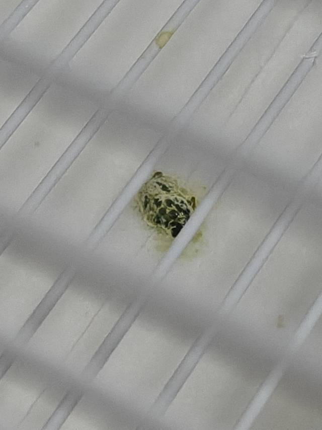 症状描述图片
