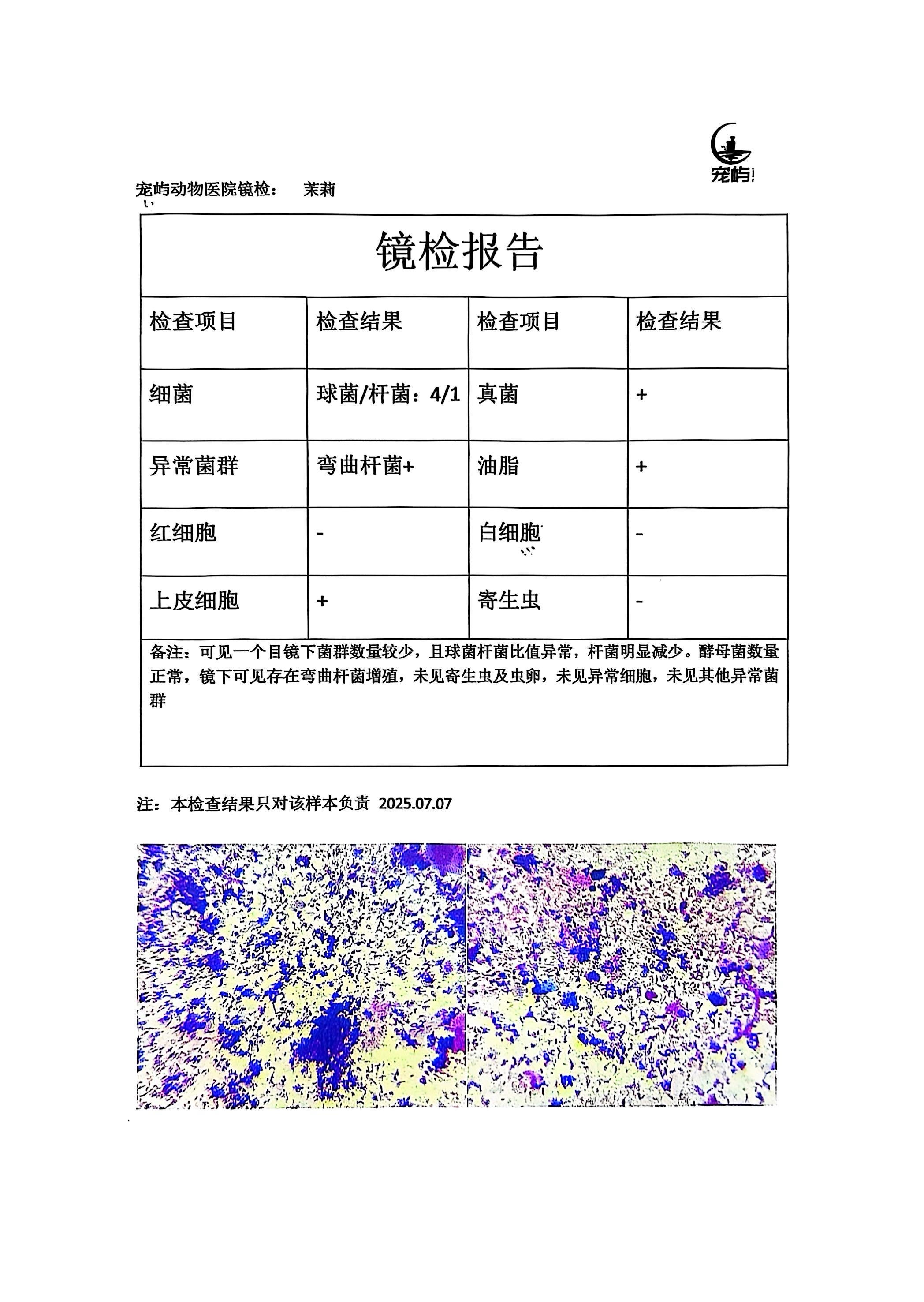 症状描述图片