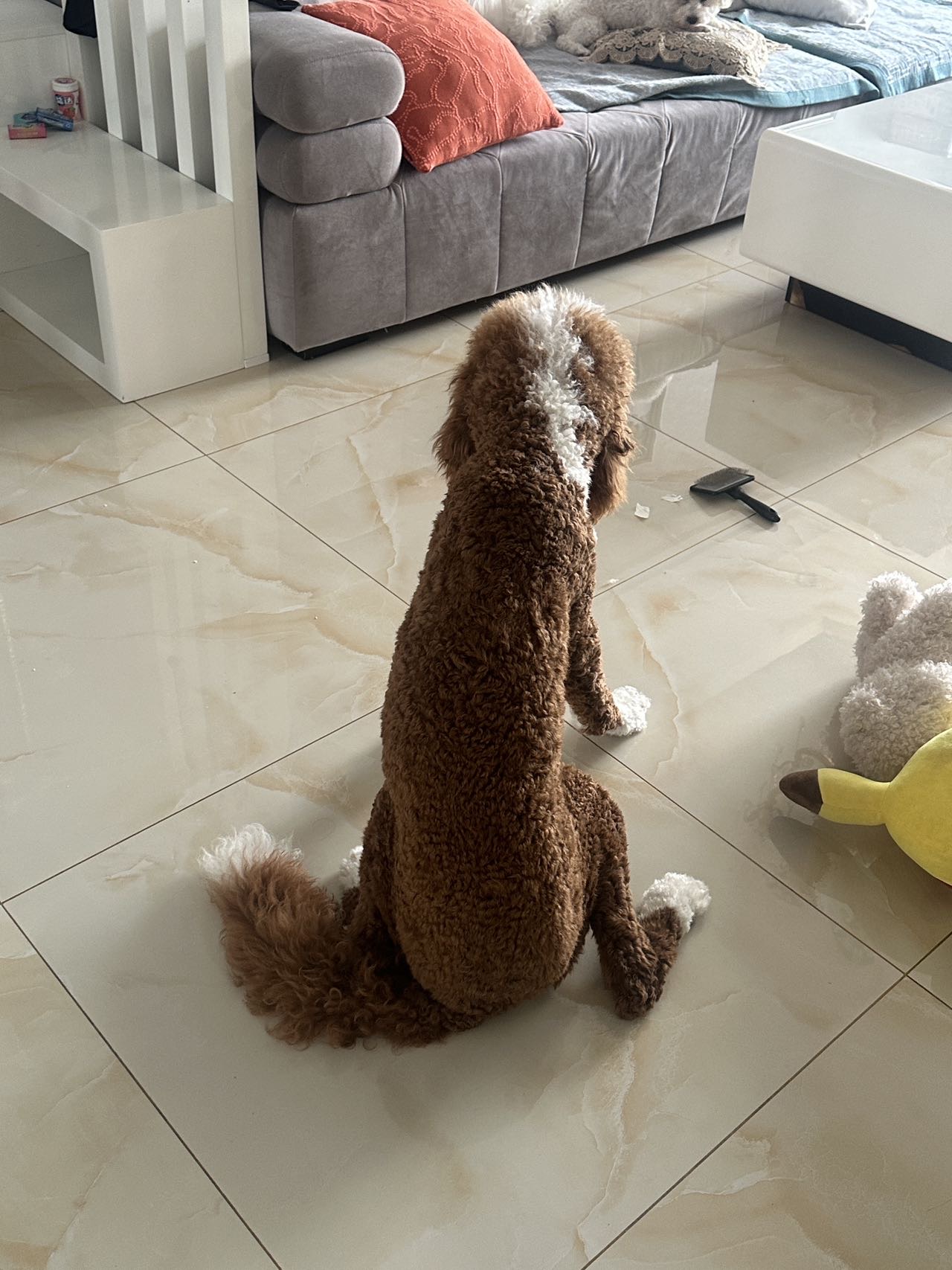 症状描述图片