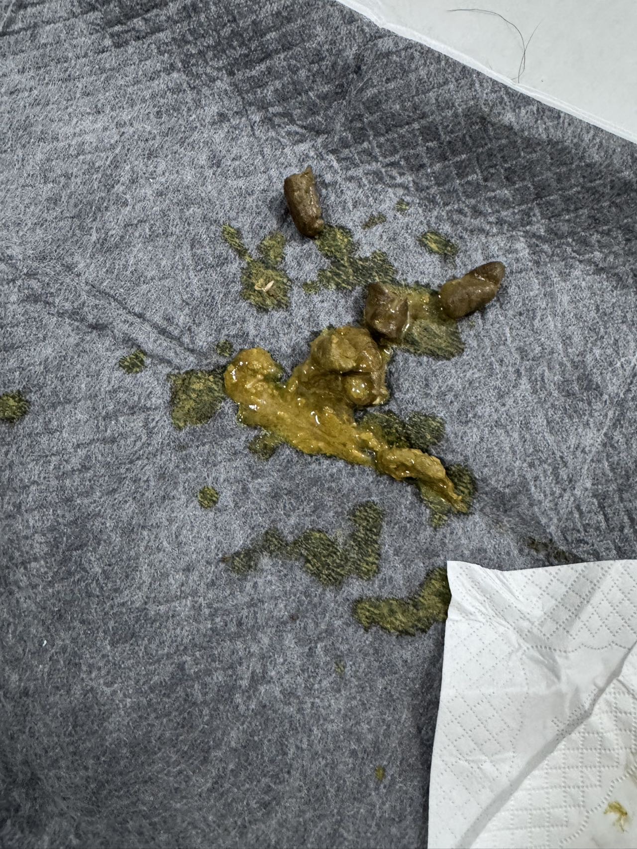 症状描述图片
