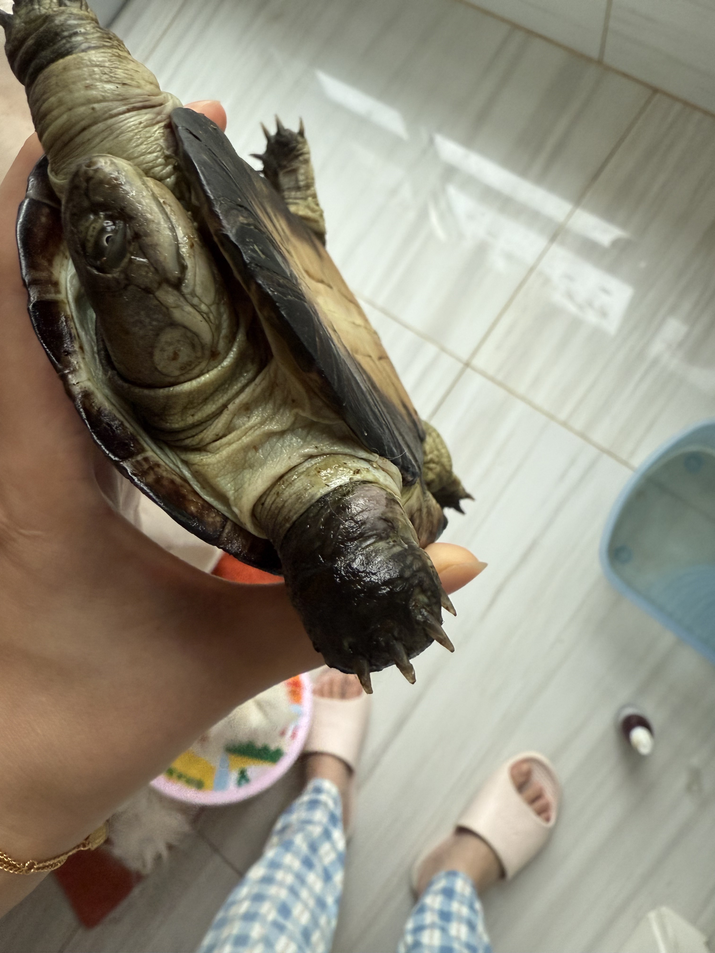 症状描述图片