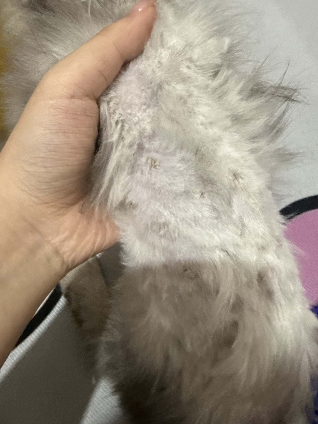 症状描述图片
