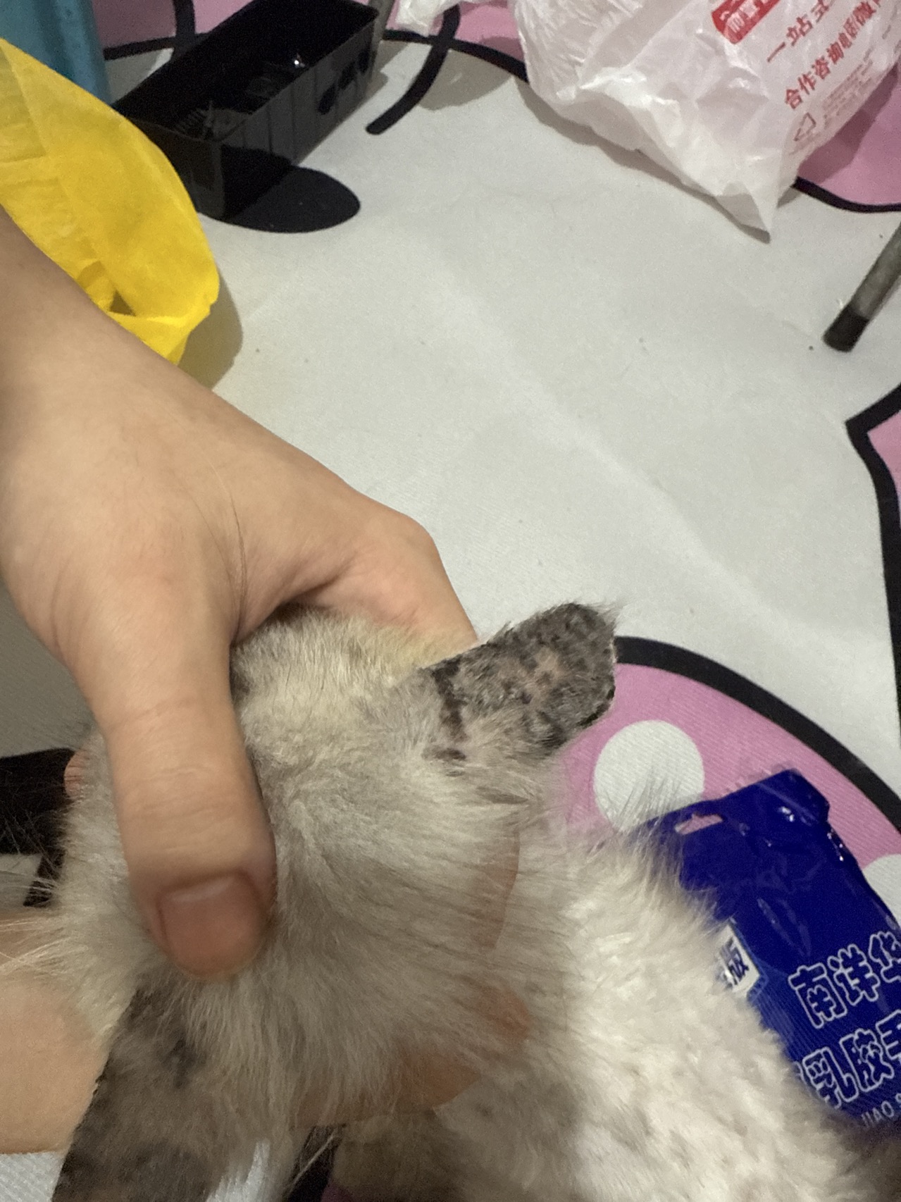 症状描述图片