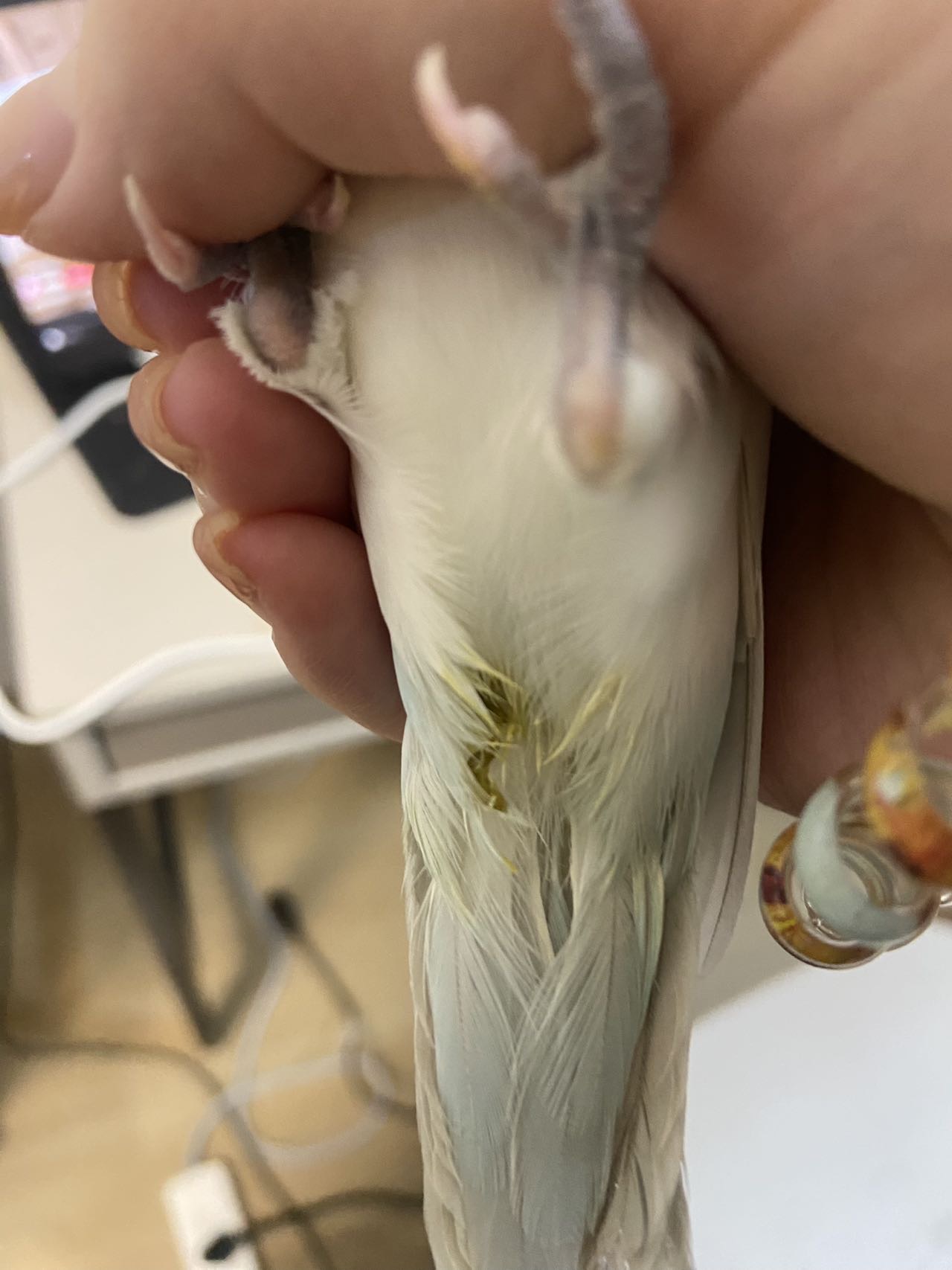 症状描述图片