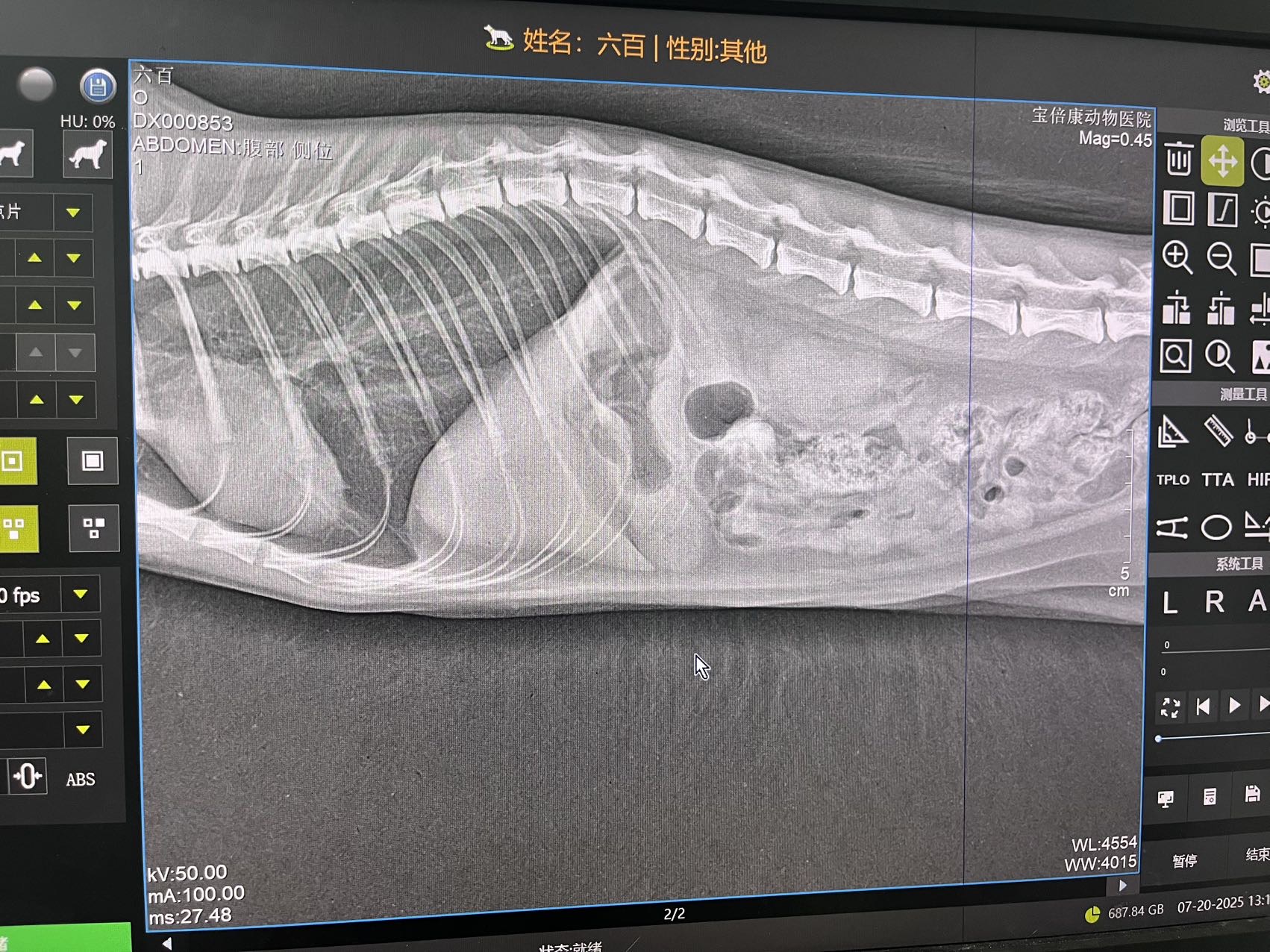 症状描述图片