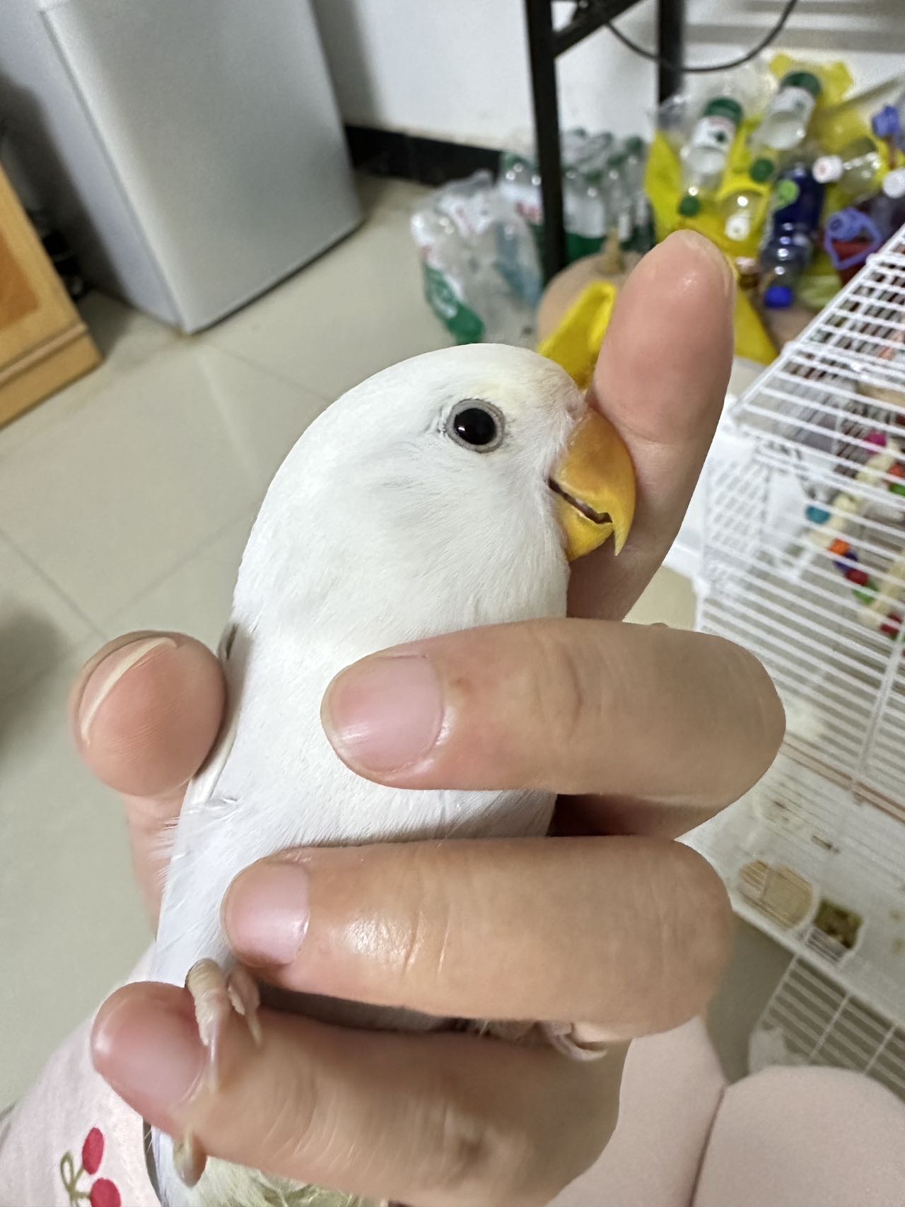 症状描述图片