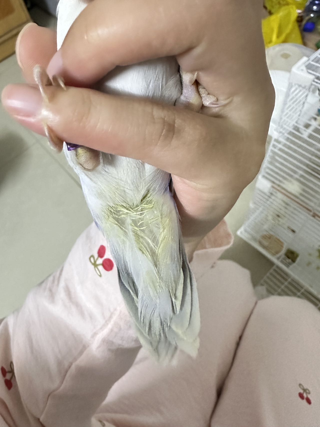 症状描述图片