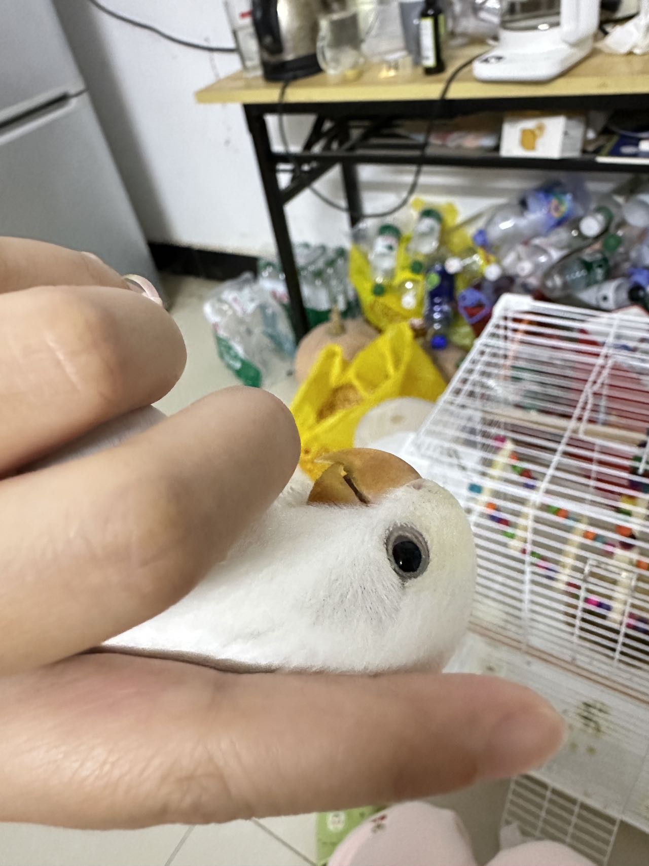 症状描述图片