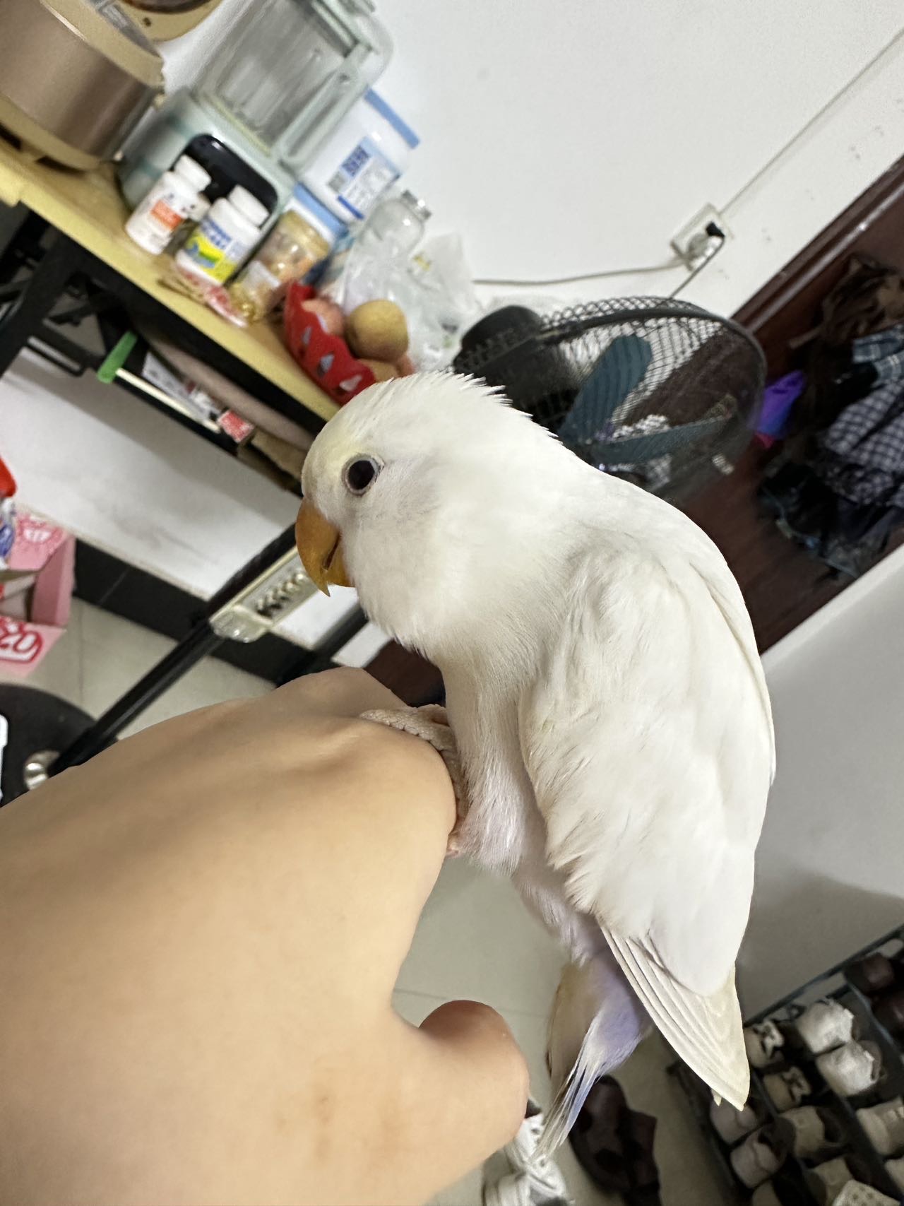 症状描述图片