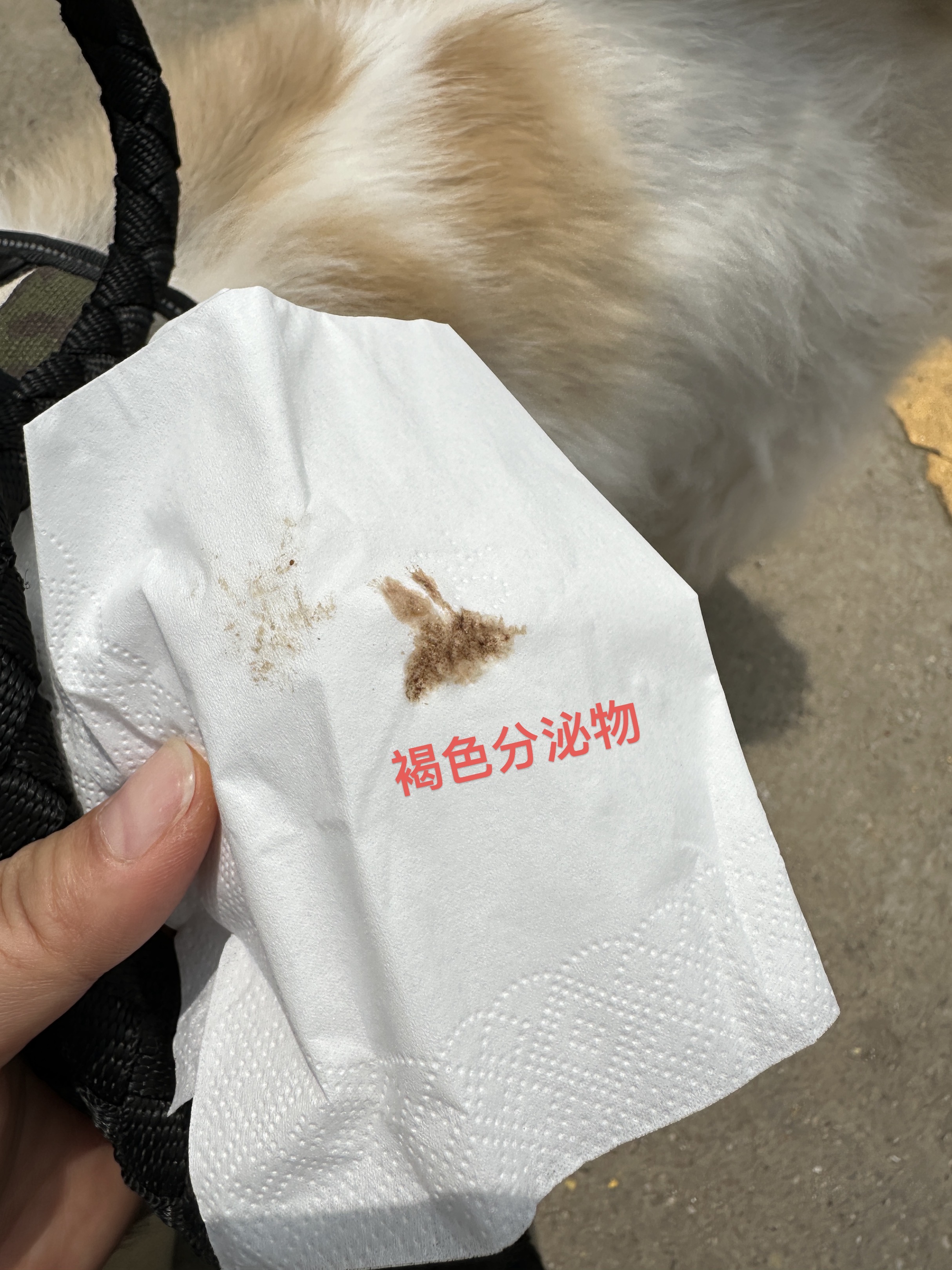 症状描述图片