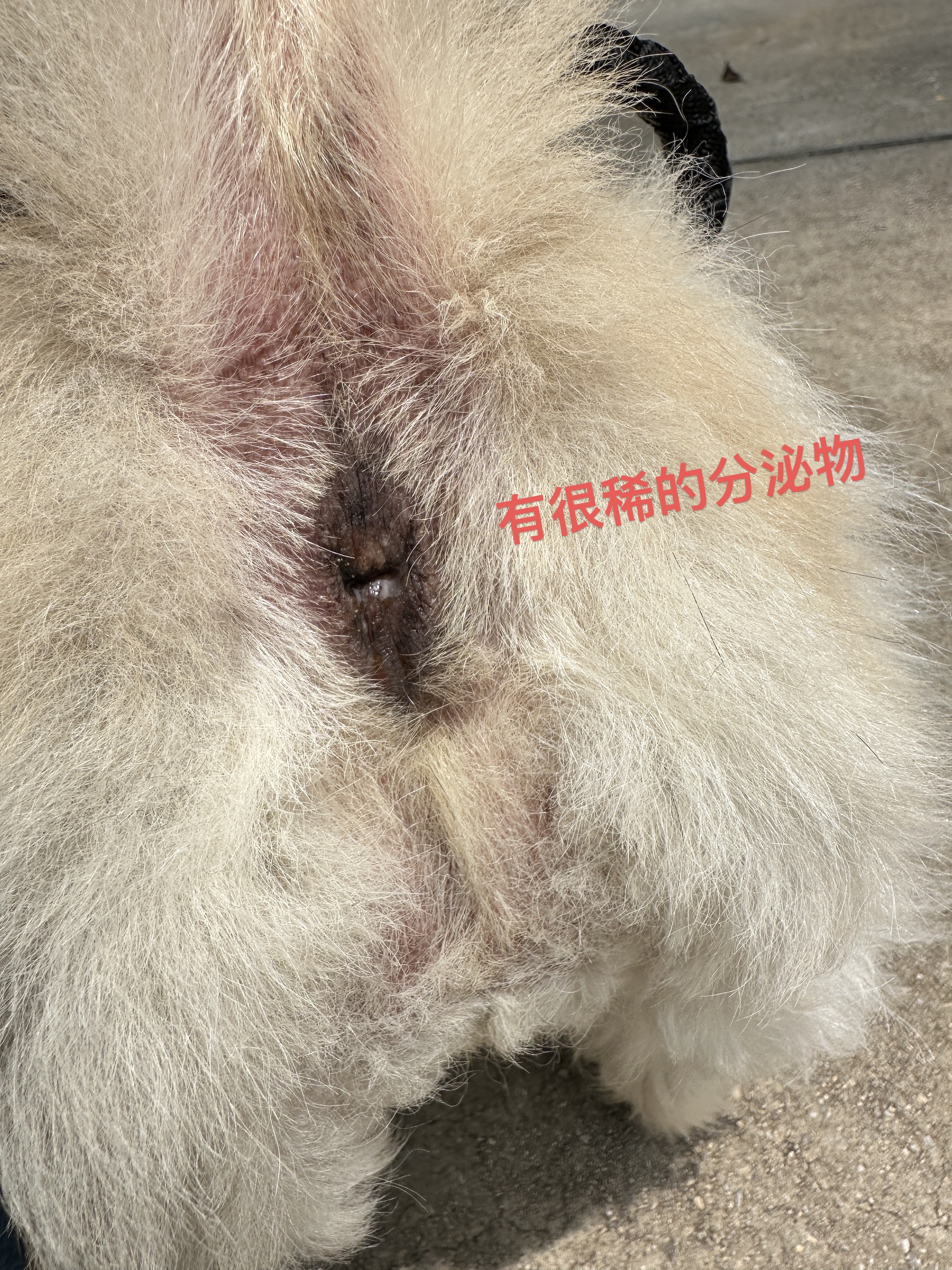 症状描述图片