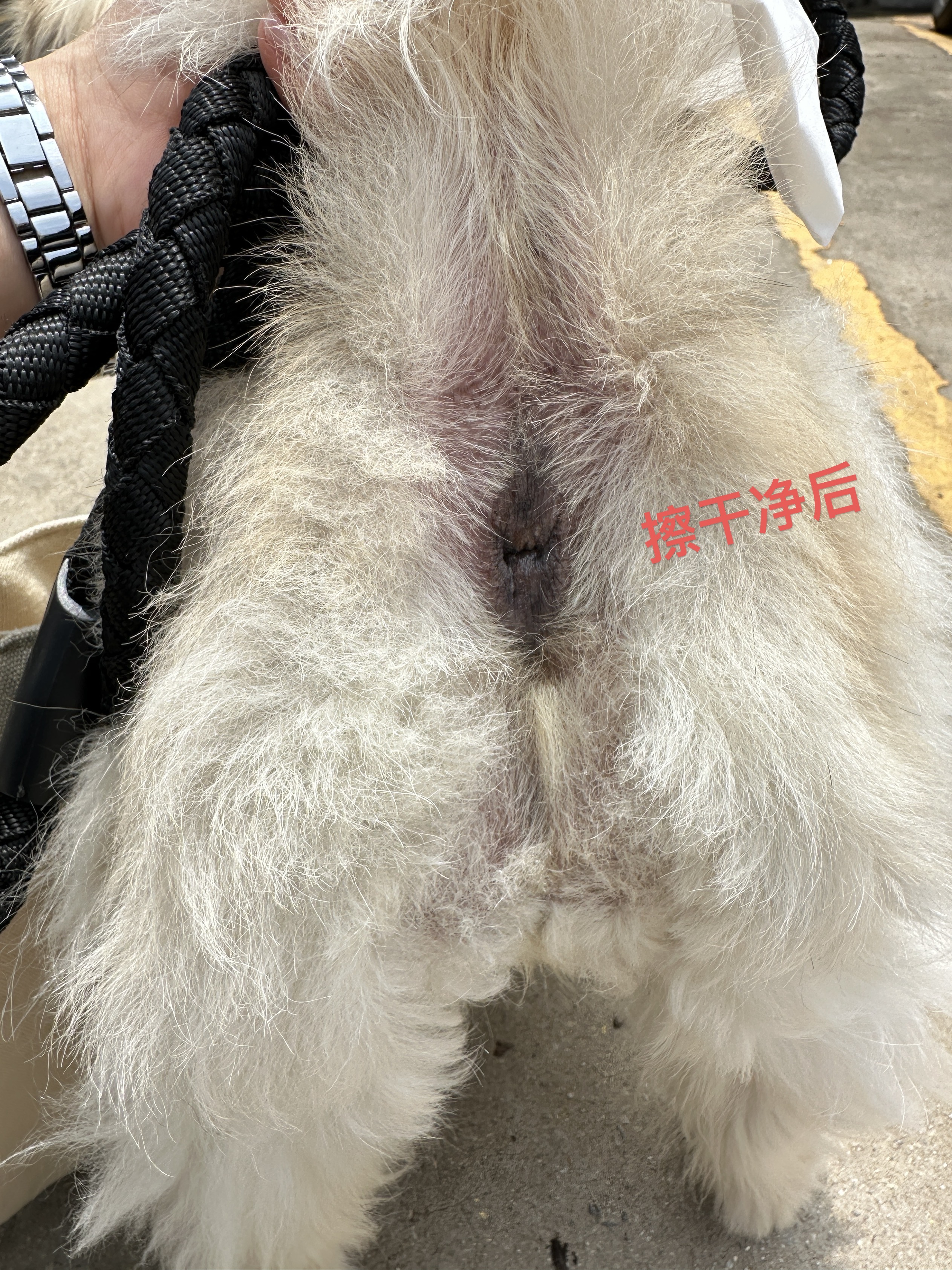 症状描述图片