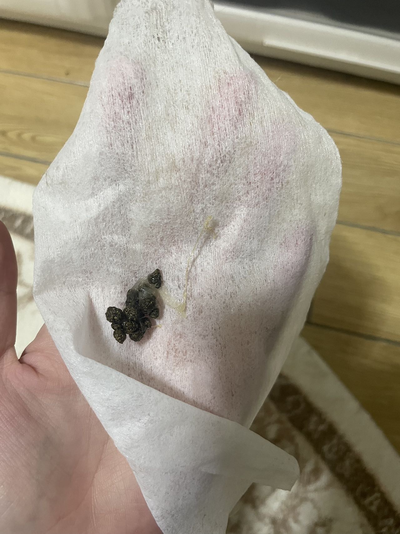 症状描述图片