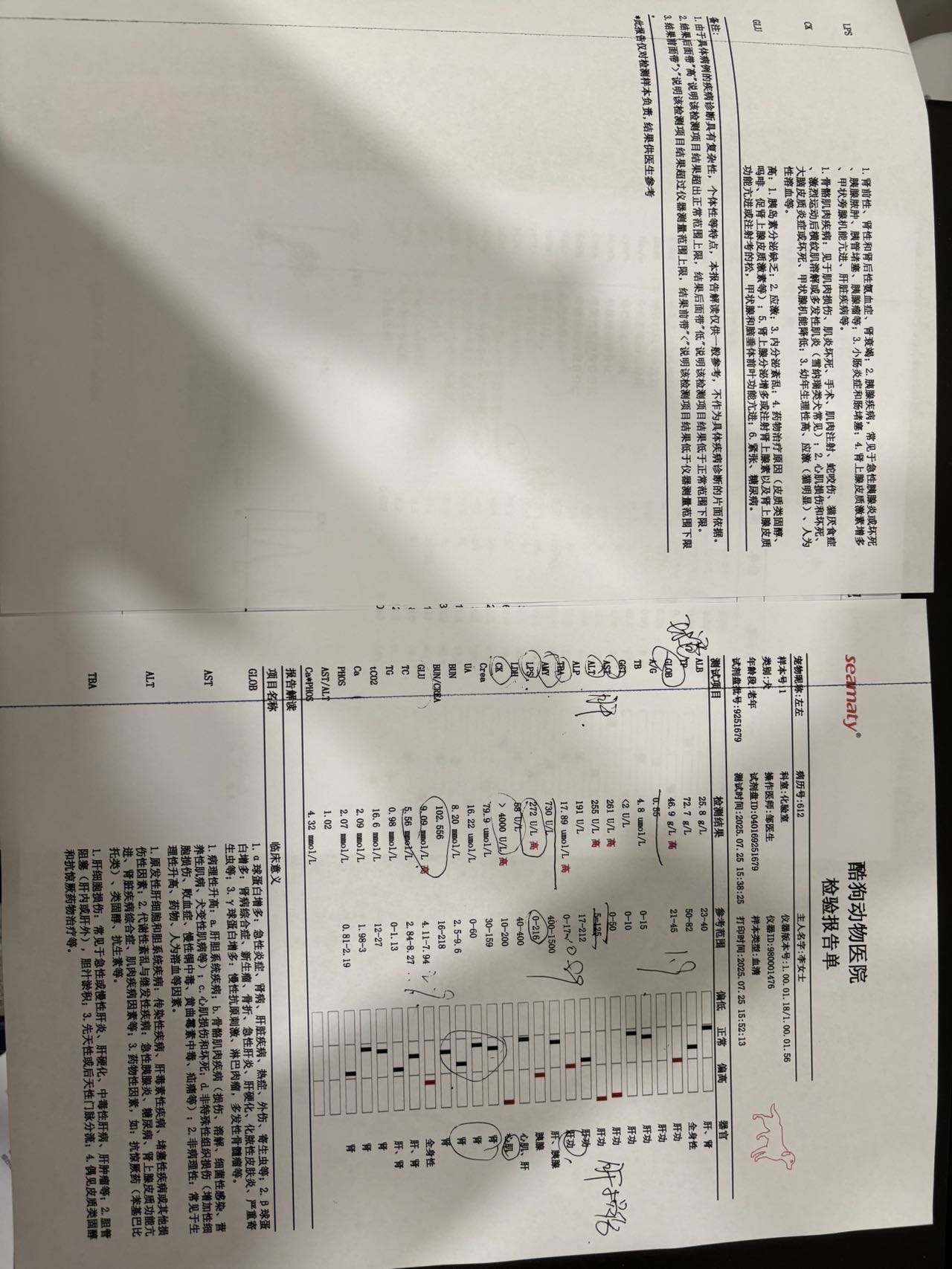 症状描述图片