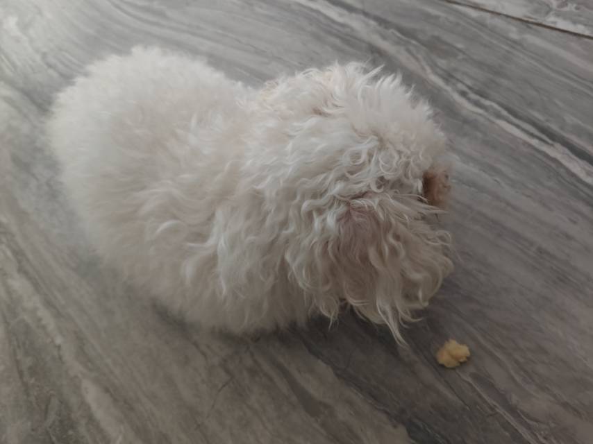 症状描述图片