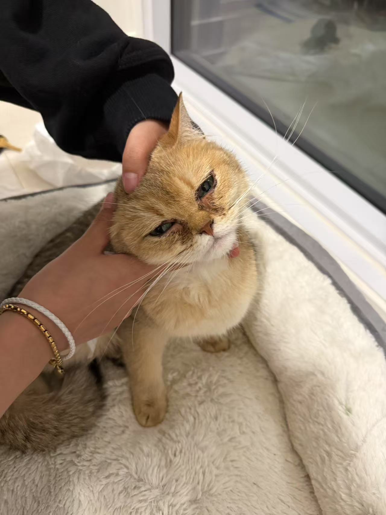 症状描述图片