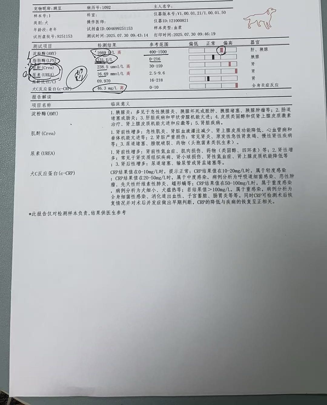 症状描述图片