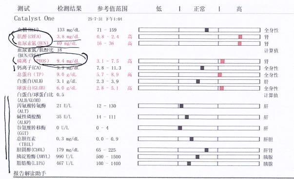 症状描述图片