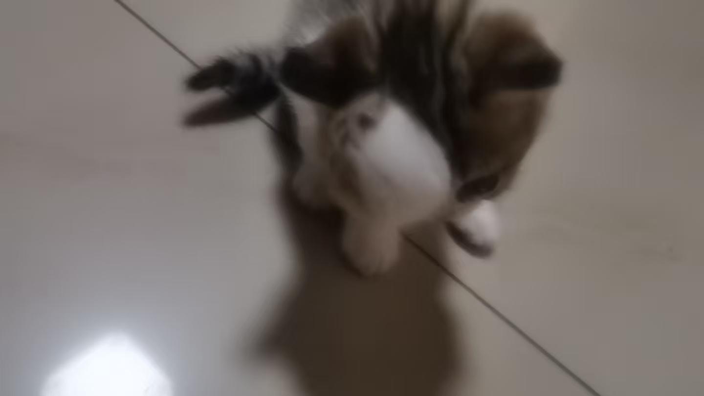 症状描述图片