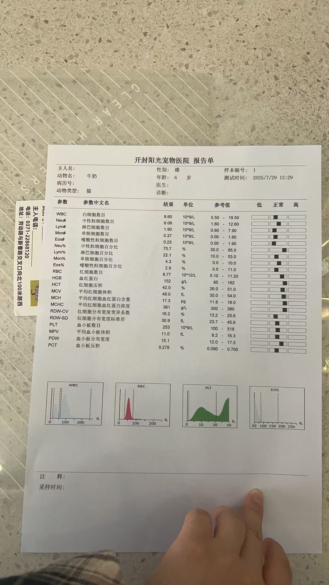 症状描述图片
