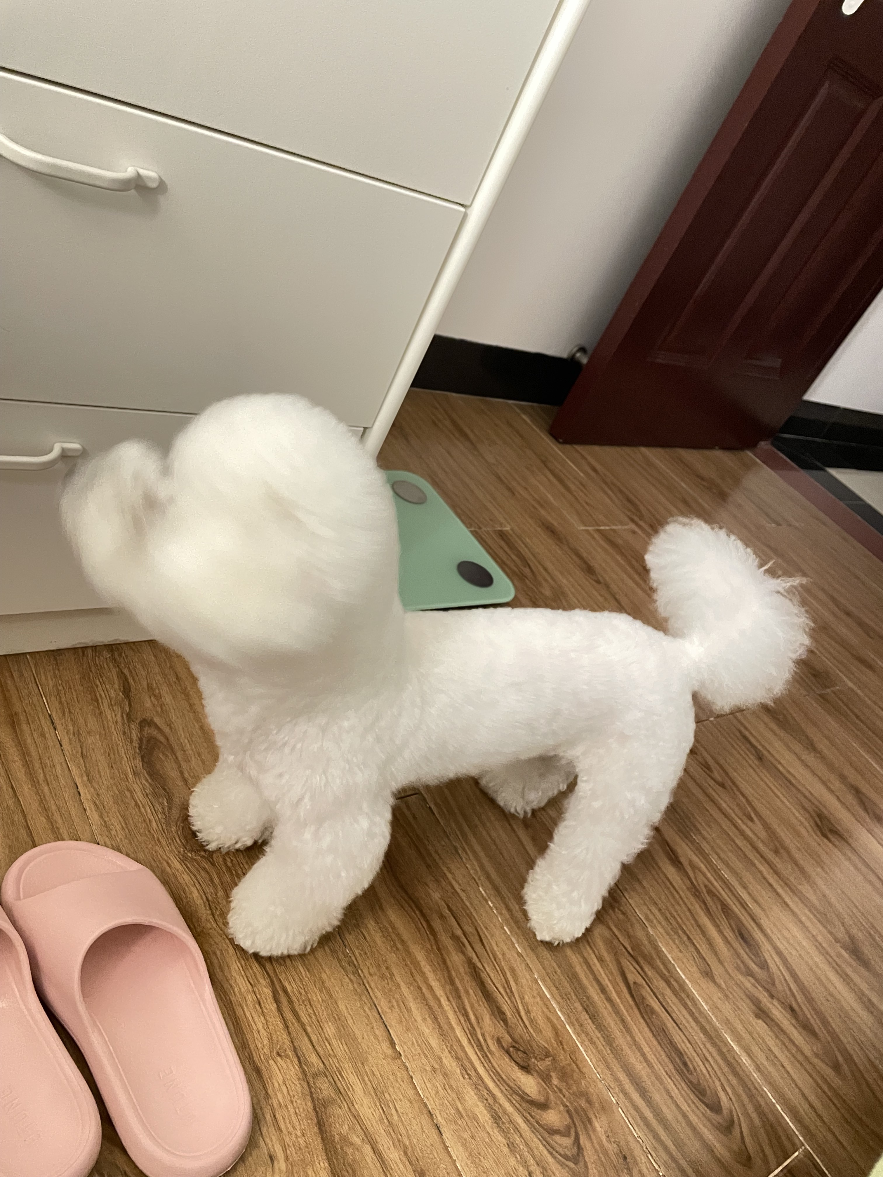 症状描述图片