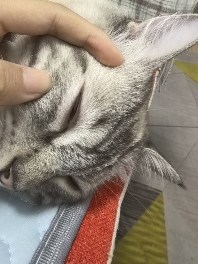 症状描述图片
