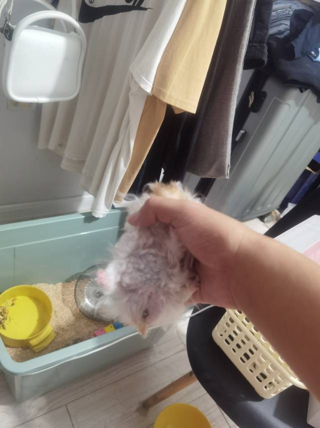 症状描述图片