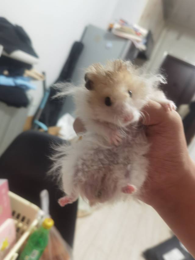 症状描述图片