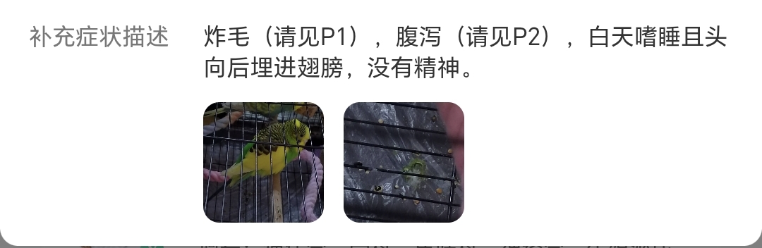 症状描述图片
