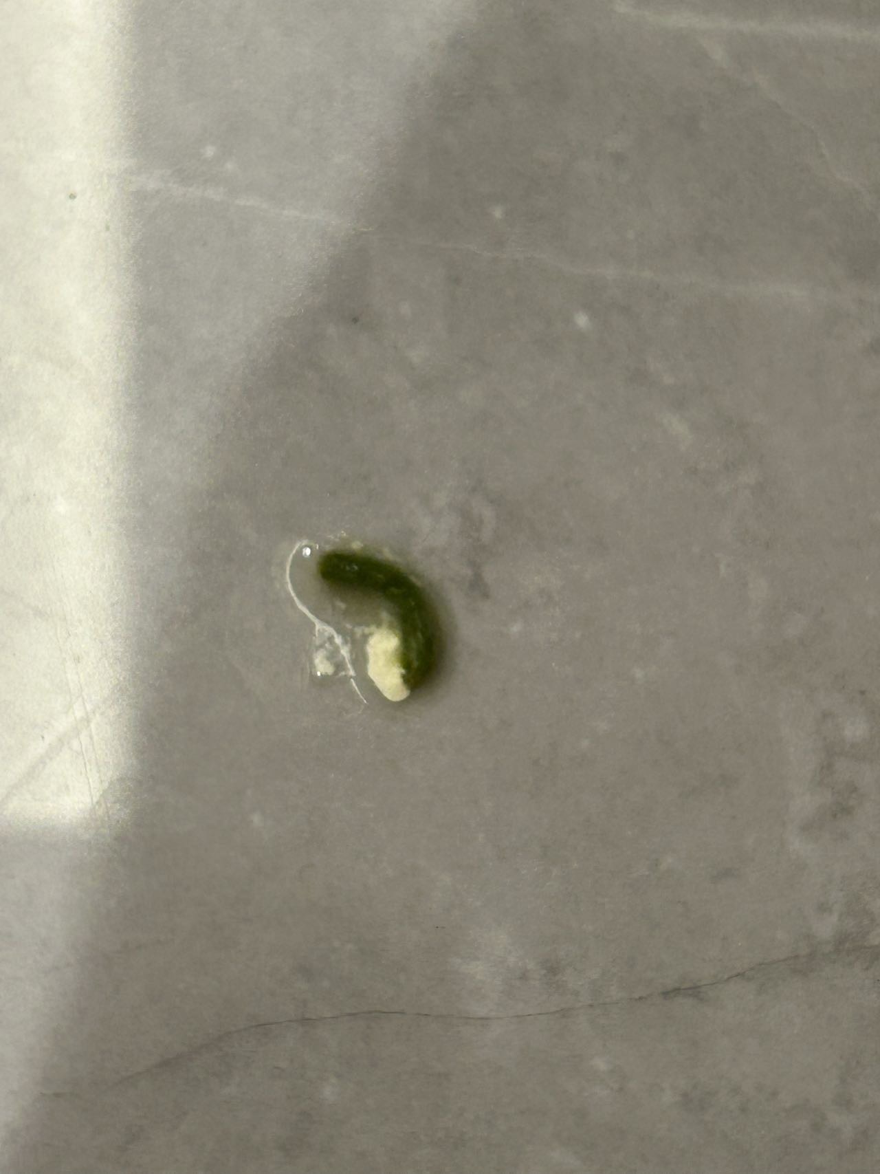 症状描述图片