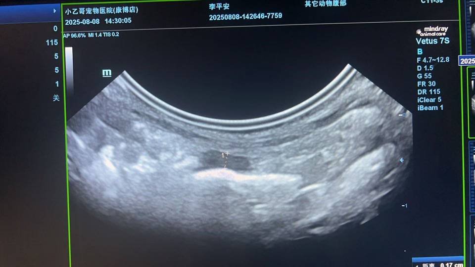 症状描述图片