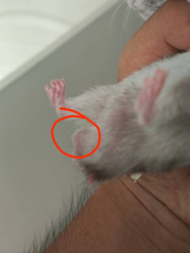 症状描述图片