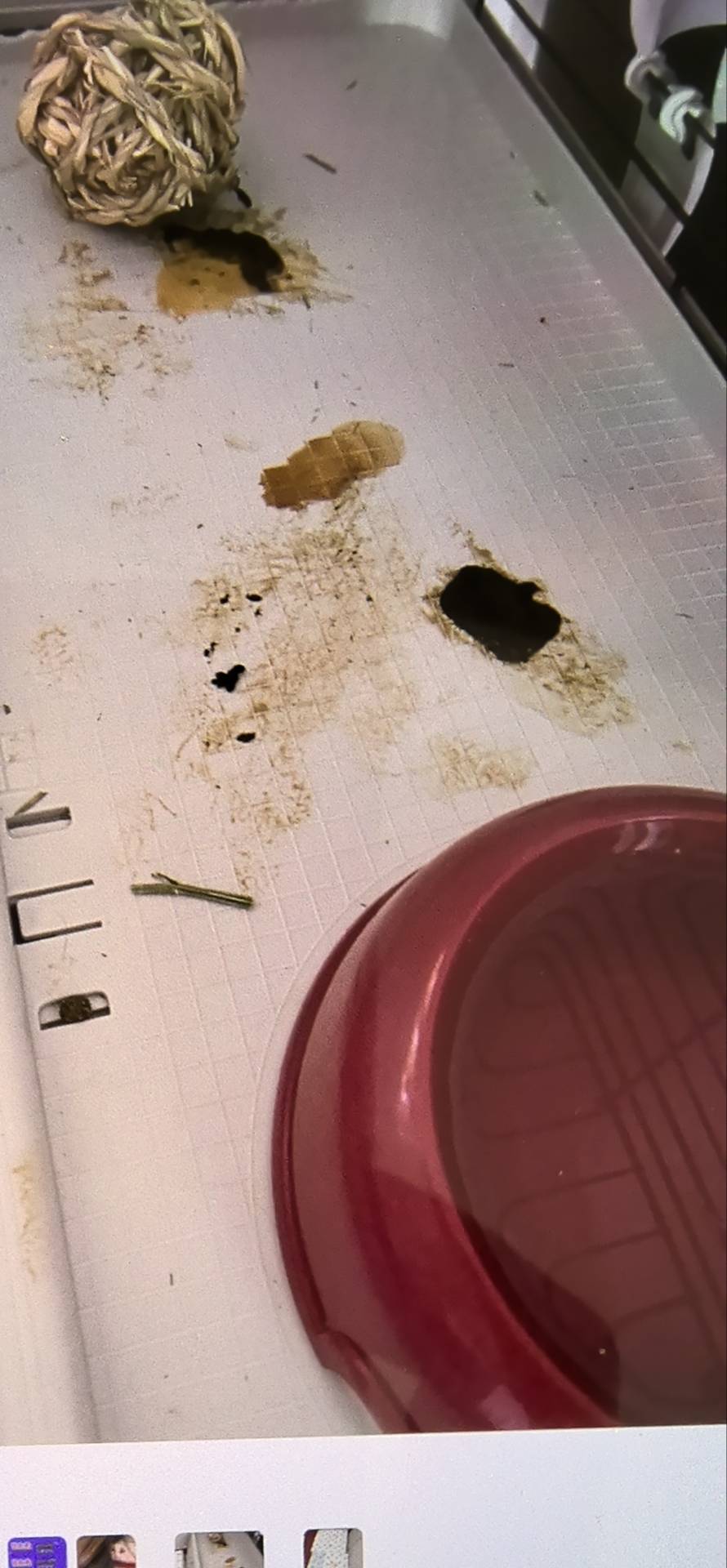 症状描述图片