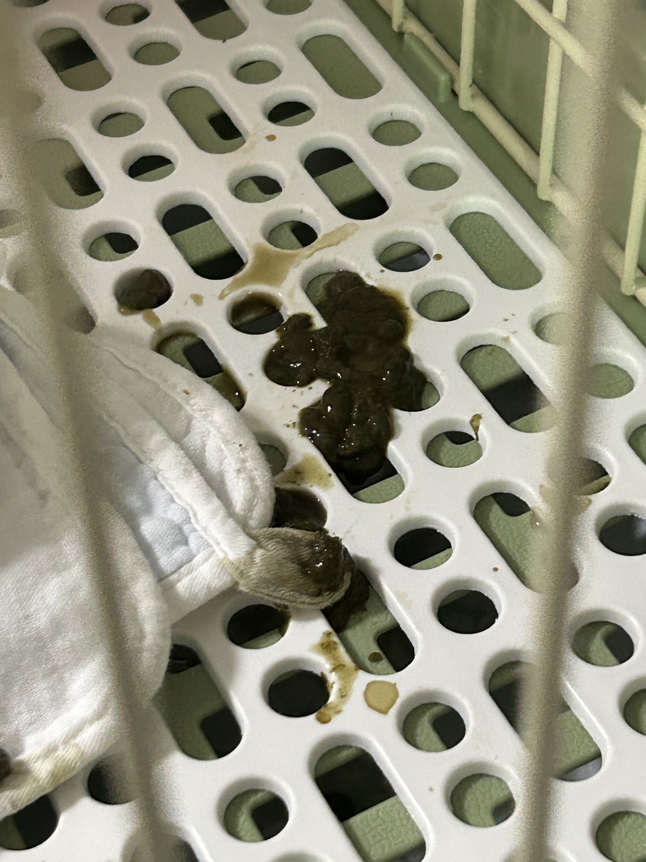 症状描述图片