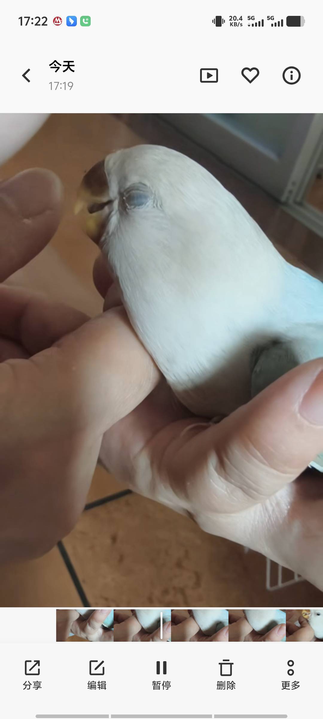 症状描述图片