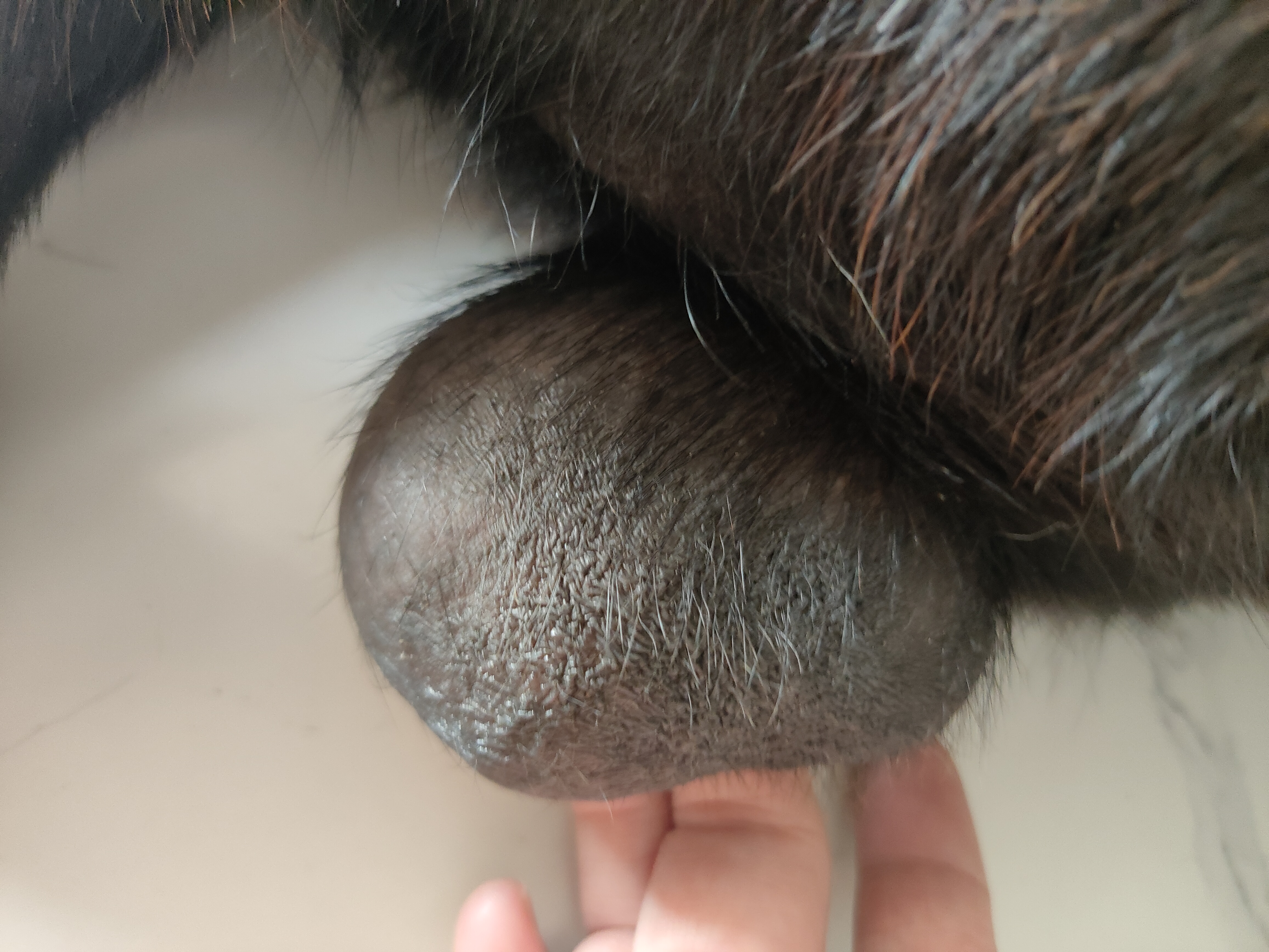症状描述图片