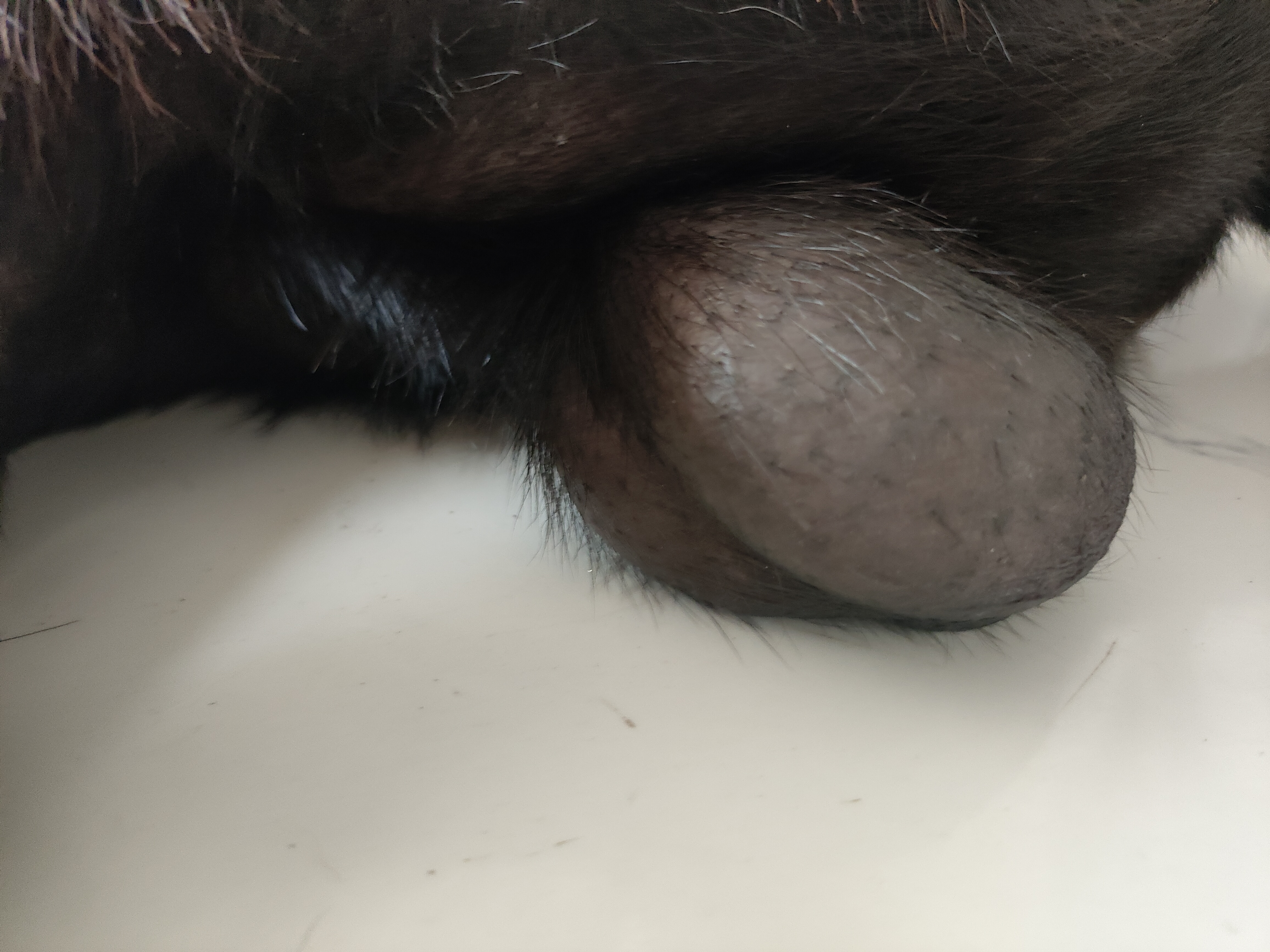 症状描述图片