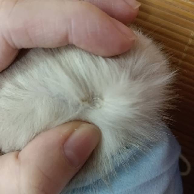 症状描述图片
