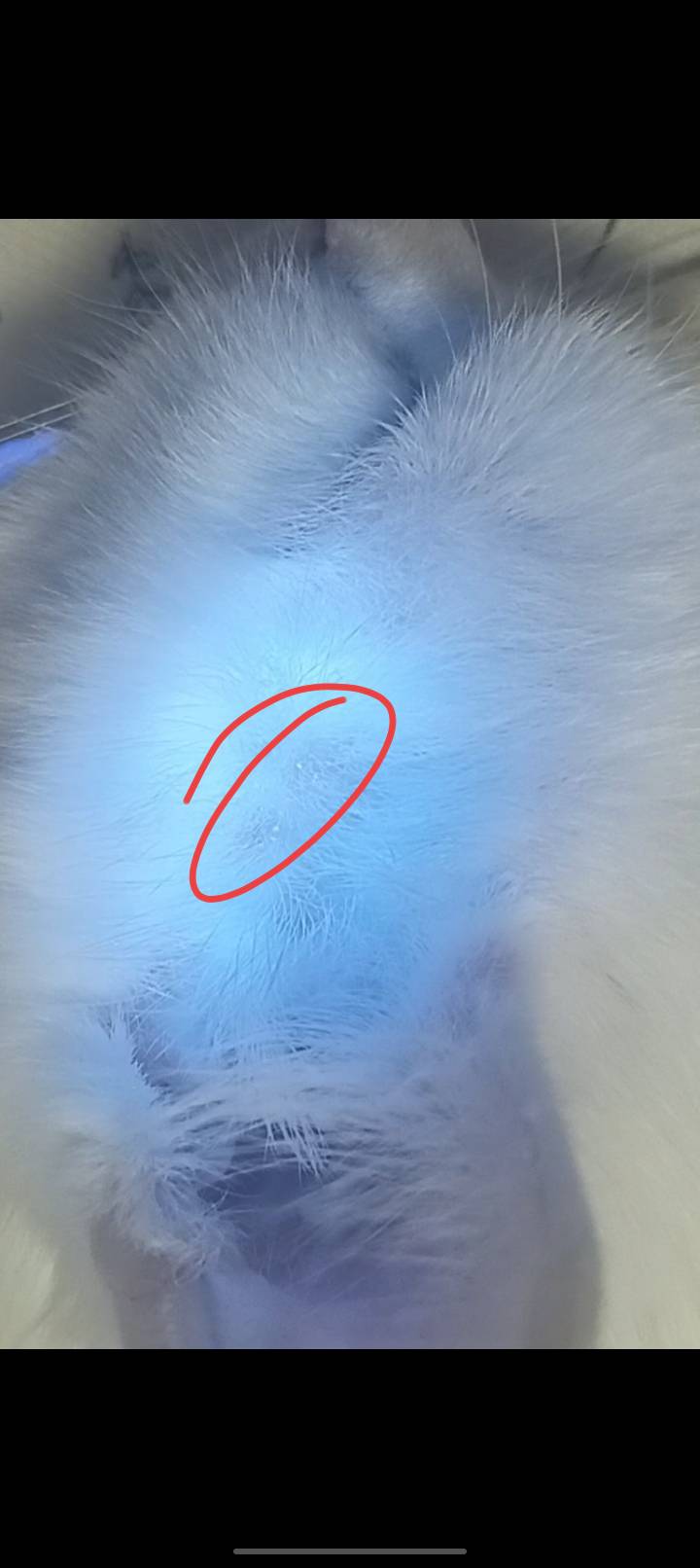 症状描述图片