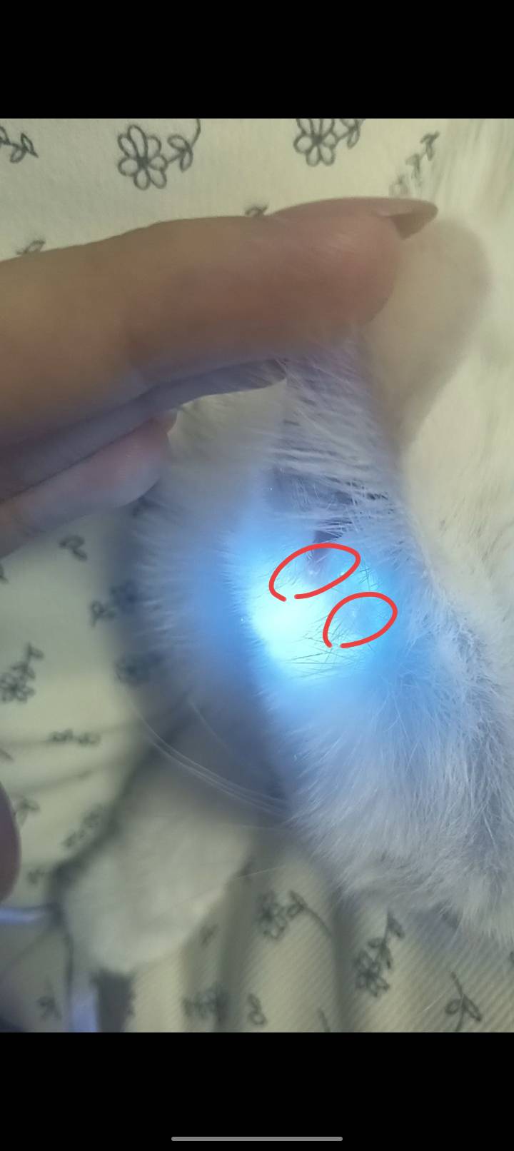 症状描述图片