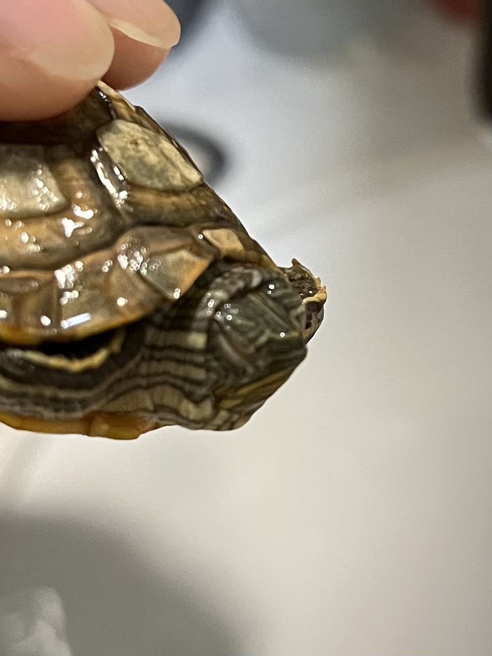 症状描述图片