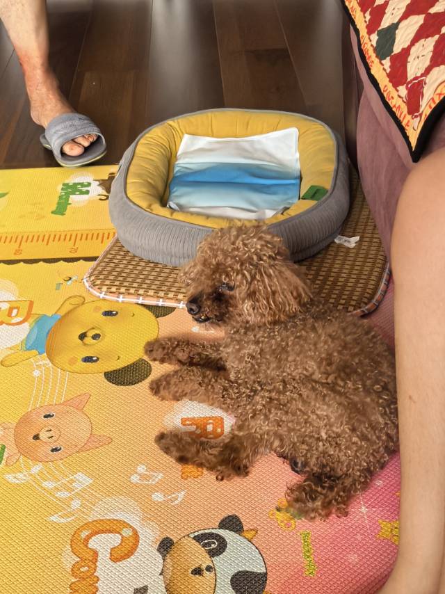 症状描述图片