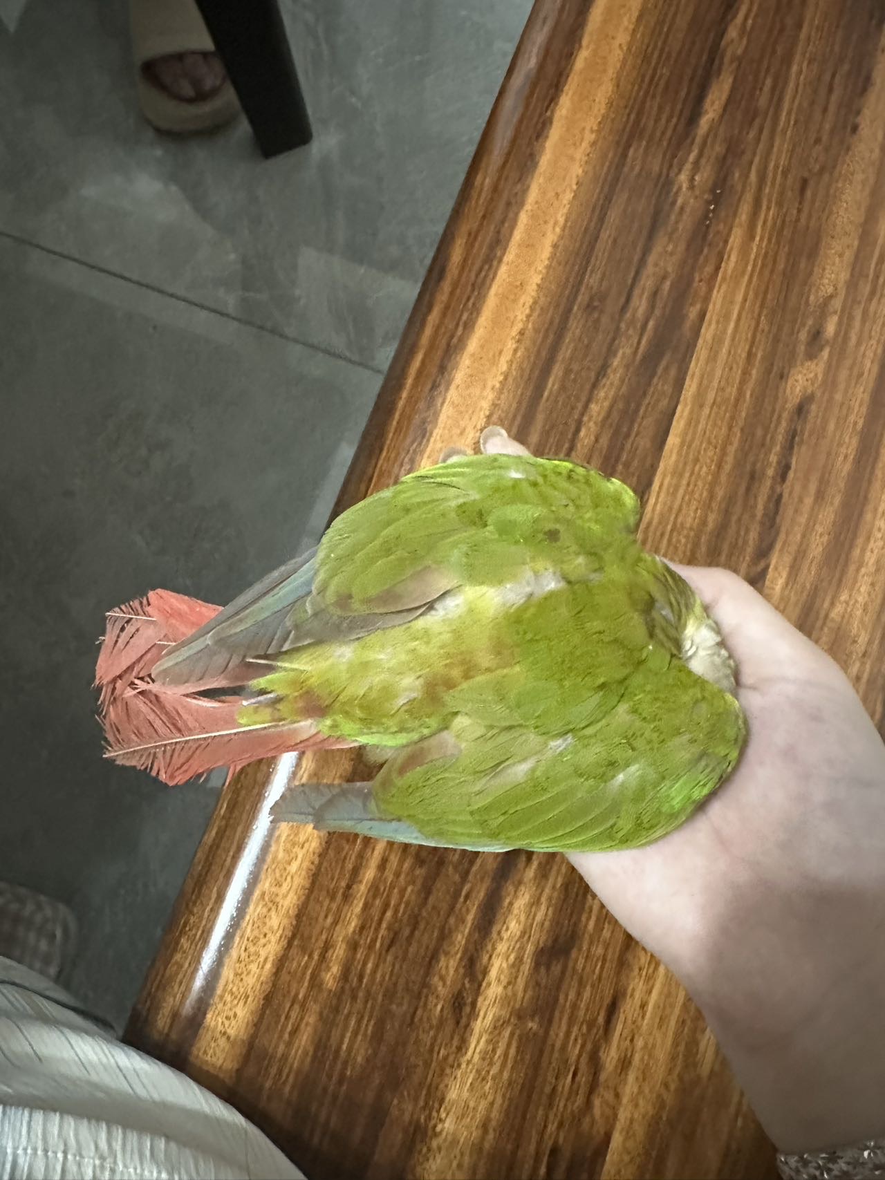 症状描述图片
