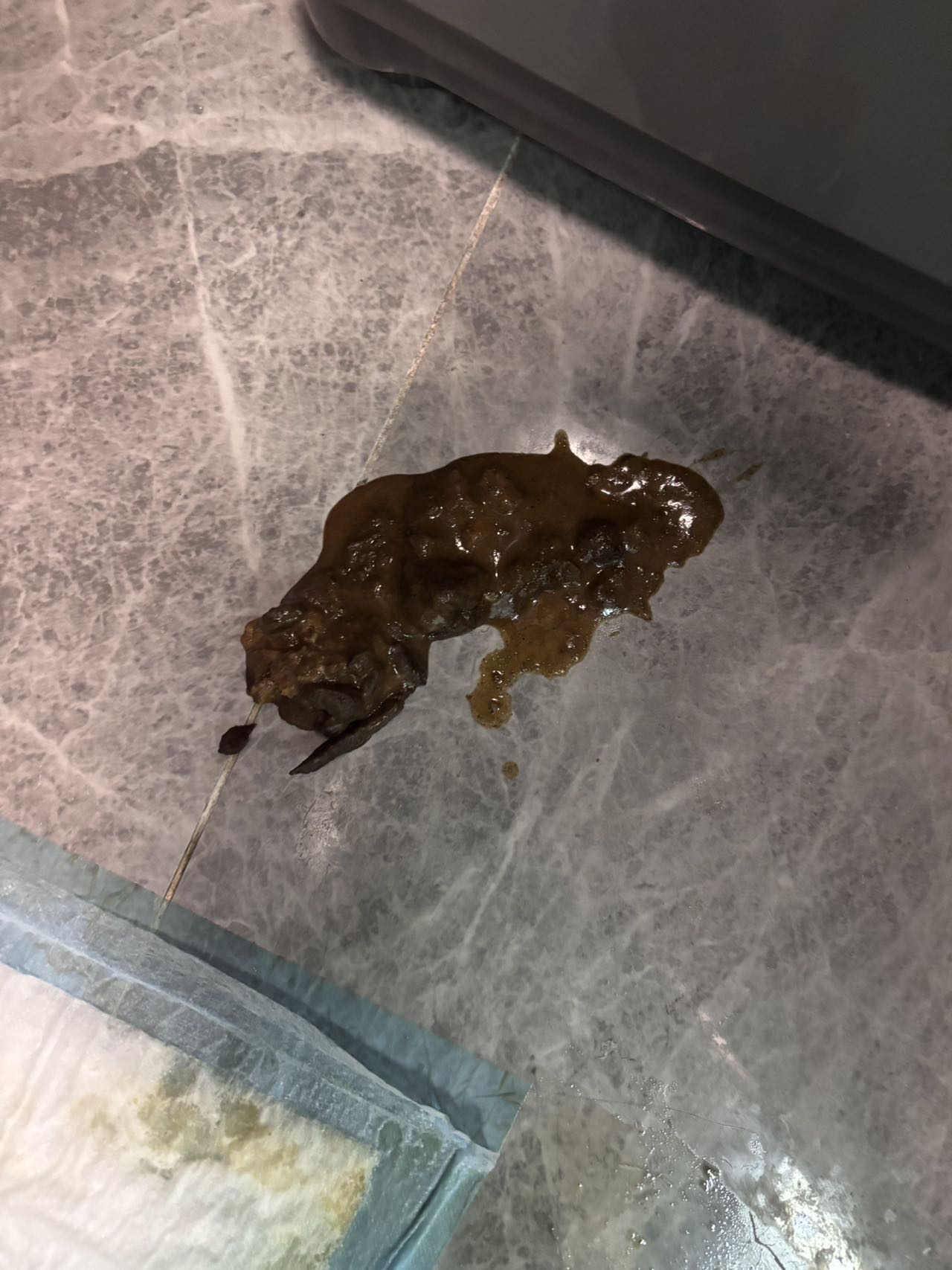 症状描述图片
