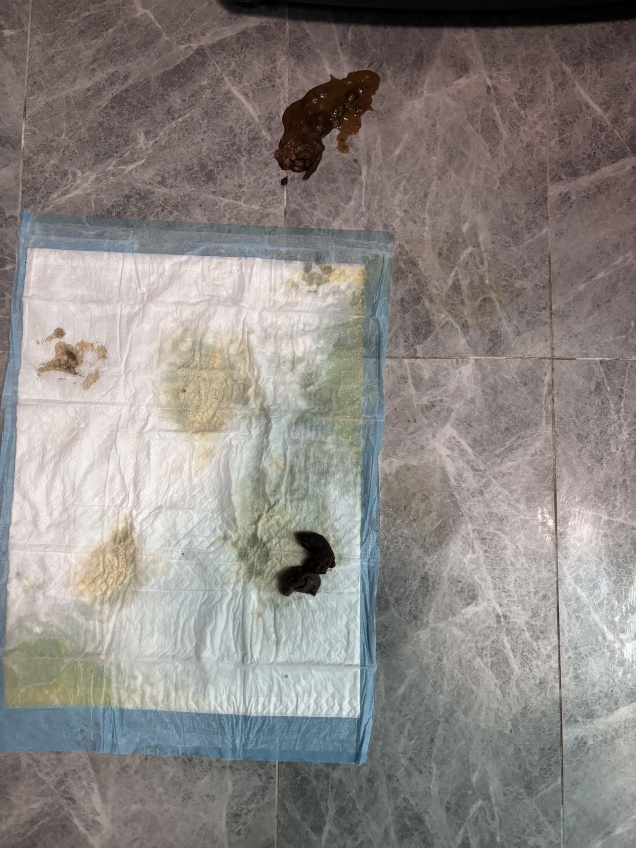 症状描述图片