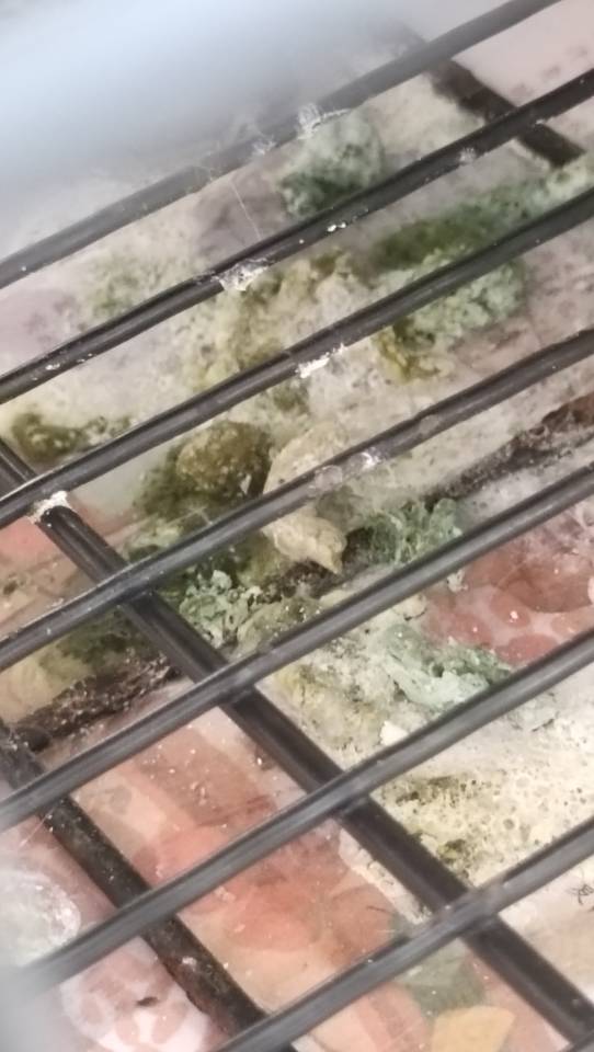 症状描述图片