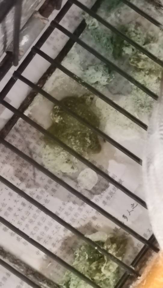 症状描述图片